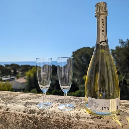 Вилла Grande Aux Issambres 500m De La